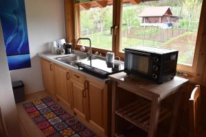 梅特利卡Apartma Silvia的厨房配有微波炉、水槽和窗户。