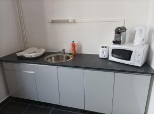 萨兰莱班O'Couvent - Appartement 87 m2 - 4 chambres - A501的厨房配有水槽和台面上的微波炉