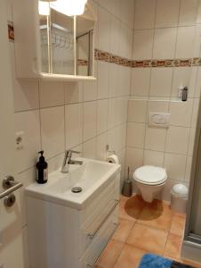 伦茨堡Ferienhof Gosch的浴室配有白色水槽和卫生间。