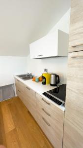 特伦托Alfea Deluxe Loft & Rooms的厨房配有水槽和炉灶 顶部烤箱