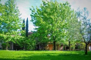 马里纳迪马萨海蓝宝石住宿加早餐旅馆的一座房子前面绿树成荫的院子