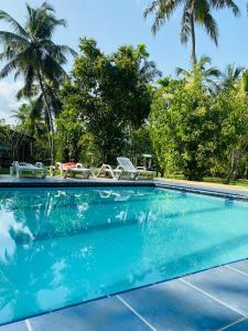 乌纳瓦图纳Villa Gaetano Unawatuna的一个带椅子的游泳池,棕榈树