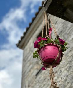 阿菲托斯Casa La Bohema的挂在建筑物上的粉红色花盆