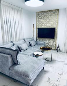 雷霍沃特Boutique Penthouse by Weizmann - פנטהאוס בוטיק的带沙发和电视的客厅