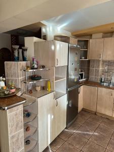 博托沙尼Apartament CASA ALEXIA的厨房配有不锈钢冰箱和橱柜