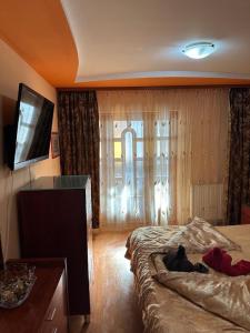 博托沙尼Apartament CASA ALEXIA的一间酒店客房,设有两张床和电视