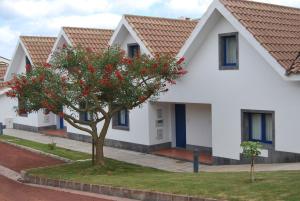 Rosário-Lagoa星之圣母旅游公寓的前面有一棵树的白色房子