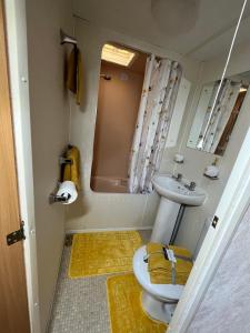 赫姆斯比the Samanda Van Newport caravan park的一间带卫生间和水槽的浴室