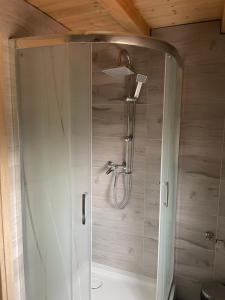 GraboszyceSosnowy Domek Piętro的浴室里设有玻璃门淋浴