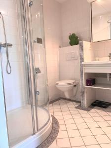 沃尔克姆Friese Kust Villa的带淋浴、卫生间和盥洗盆的浴室