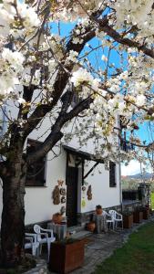 卡拉内拉Studio Sevasti的建筑物前有白色花的树