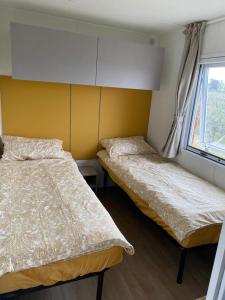 佩斯基耶拉德加达Agricamping Zanina 9的带窗户的客房内的两张床
