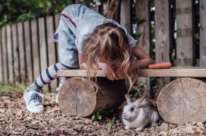 萨尔巴赫Familienresort Ellmauhof - das echte All Inclusive的坐在长凳上看着兔子的小女孩