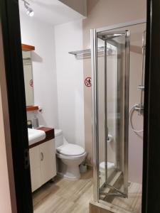 布加勒斯特Nevis Fundeni的一间带卫生间和玻璃淋浴间的浴室