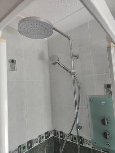 LampheyThe Dial inn的浴室内配有淋浴和头顶淋浴