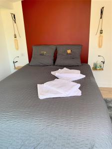 南特Chambre d'Hôtes Les Petits Oiseaux的床上有两条白色毛巾