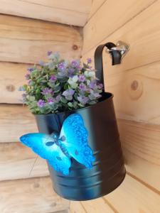 TieltSheepinn hoekje的蓝色的吸水罐,上面有蓝色的蝴蝶