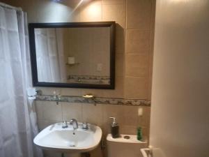 马德普拉塔Excelente monoambiente completo, funcional y muy cómodo - Zona "Aldrey"的浴室设有水槽和墙上的镜子