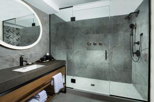 格林维尔Hotel Hartness的带淋浴、盥洗盆和镜子的浴室