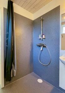 托尔斯港Liv's Guesthouse的带淋浴的浴室,拥有蓝色的墙壁
