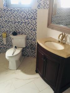 博博迪乌拉Oasis Lawafossi的一间带卫生间和水槽的浴室