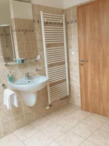 卡罗维发利卡罗林纳高尔夫酒店的一间带水槽和镜子的浴室