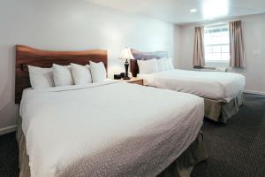 布莱斯峡谷布莱斯峡谷松树酒店的酒店客房设有两张床和窗户。