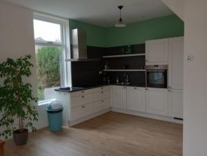 诺德克豪特Het Dijkstuk的厨房配有白色橱柜和绿色墙壁
