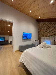 培拉特Bujtina Apsus的一间卧室配有一张大床和一台平面电视
