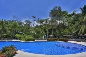 别霍港Manzanillo Caribbean Resort的度假村内的大型蓝色游泳池