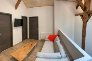 Ban-sur-Meurthe-ClefcyLe grand Valtin, 800m d altitude pleine nature 12 pers的客厅配有沙发和桌子