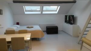布鲁塞尔迷笛公寓酒店的一间卧室设有两张床、一台电视和一张桌子