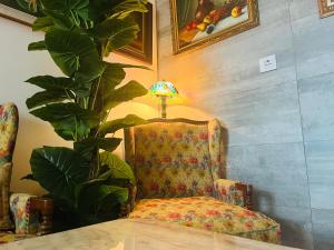 阿利坎特Art House的椅子,放在一个有灯和植物的房间