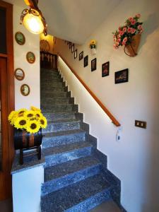 莫内利亚La Casa di Lice的一条带有向日葵花瓶的楼梯
