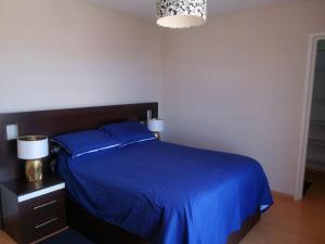 苏克雷Sucre Bellavista的一间卧室配有蓝色的床和蓝色的毯子