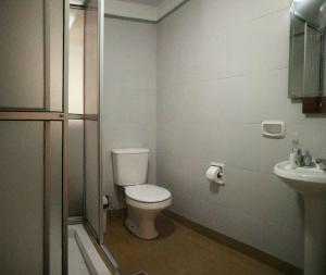 苏克雷Sucre Bellavista的一间带卫生间和水槽的浴室