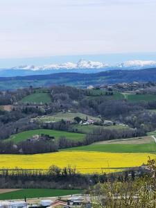 Châteauneuf-de-GalaureLes Figuets的一片黄花,底下有雪覆盖的群山