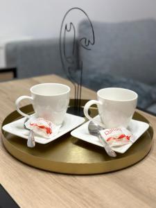 锡比乌Sylt的桌上的盘子上放两个咖啡杯