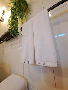 绿岛至美民宿的浴室墙上挂着两条毛巾