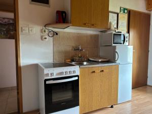 拉科维察Apartman MAURO的小厨房配有炉灶和冰箱