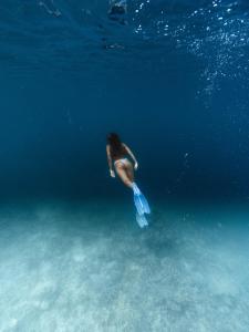 爱妮岛Isla - The Island Experience的在海洋中游泳的人
