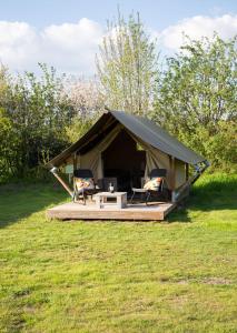 吕洛Safaritent Lodge 2 (2 persoons)的田野上带两把椅子和一张桌子的帐篷