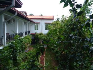 阿努拉德普勒Cumini Resort的树丛遮蔽的房子