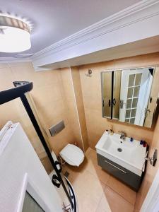 伊斯坦布尔Elegance Aparts Cihangir的一间带水槽、卫生间和镜子的浴室