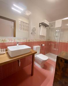 皮尔托贝加Hotel Rural Candela y Plata的一间带水槽、卫生间和淋浴的浴室
