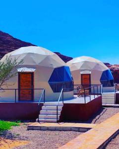 瓦迪拉姆Adel rum camp bubbles的沙漠中带楼梯的几个圆顶帐篷
