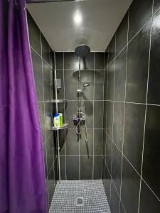 吉维尼W27B - Alla Prima, Super villa au cœur de Giverny的一间带紫色淋浴帘的淋浴的浴室