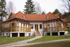 霍尼普拉纳Hotel na Jezeře的庭院中带瓷砖屋顶的房子