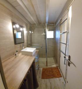 康庞Chalet Oustaou Campan La Mongie Col du Tourmalet的带淋浴、水槽和淋浴的浴室