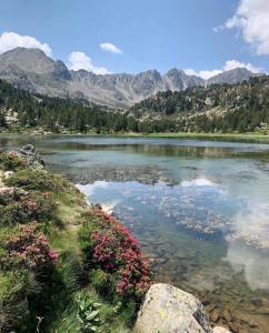 索尔德乌Serras Andorra的湖面上布满粉红色的花朵和山峰